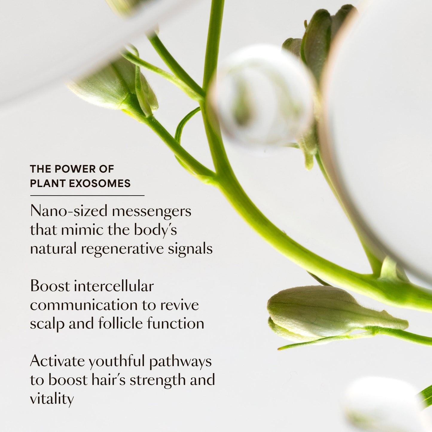 GRO Hair Serum